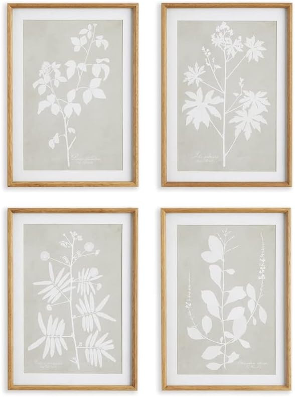 NAPA Home & Garden FOLIAGE STUDY ST/4 | Amazon (US)