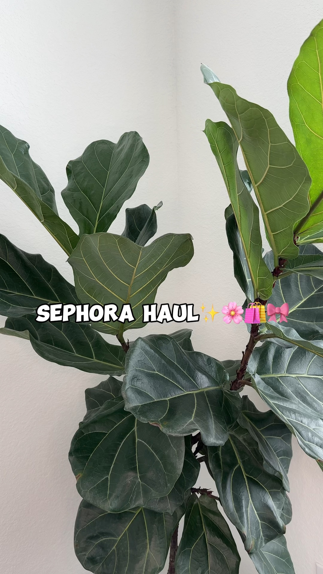 Sephora Haul✨

#LTKbeauty #LTKxSephora #LTKGiftGuide