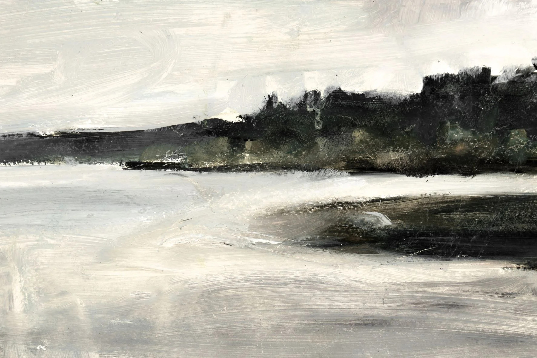 The Bay | Collection Prints