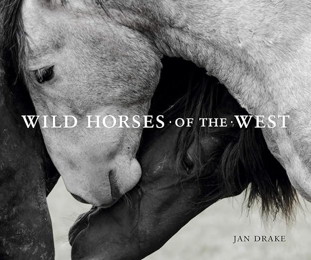 Wild Horses of the West (Wild in the West)      Hardcover – September 1, 2020 | Amazon (US)