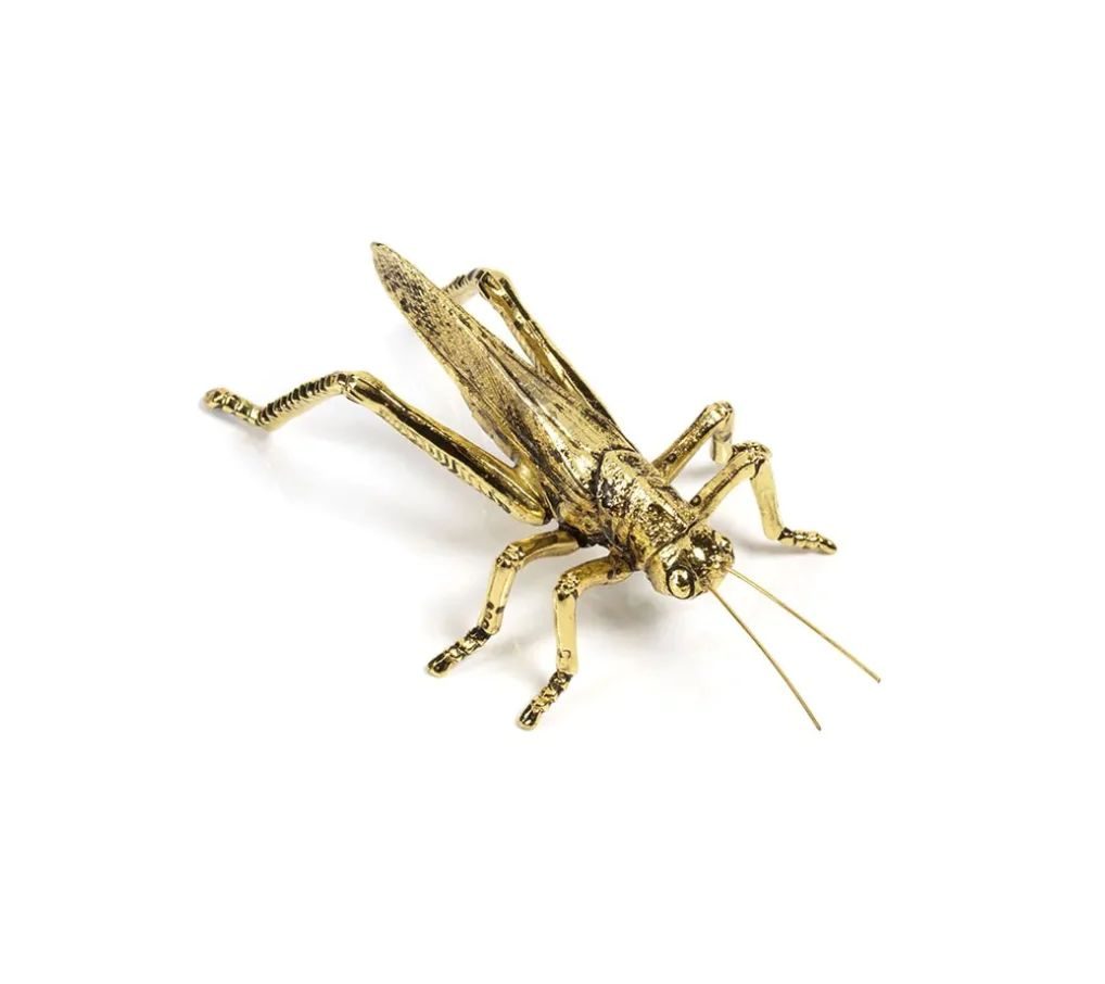Gold Grasshopper | Megan Molten