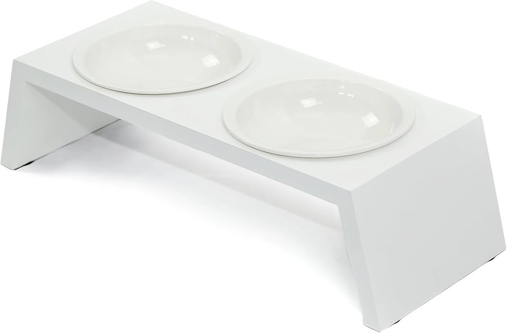 DCSP Pets Elevated Pet Feeder for Small Dogs and Cats with 2 Ceramic Food and Water Bowls, Indoor... | Amazon (US)