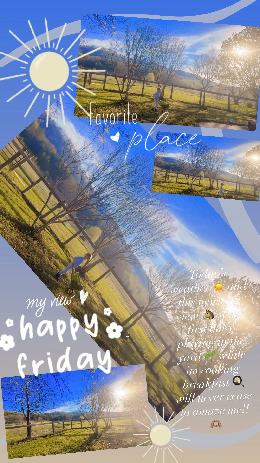 Today’s weather ☀️ and this morning view 🐴 of my first baby playing in the yard 🌱 while im cooking breakfast 🍳 will never cease to amaze me!! 🫶🏽