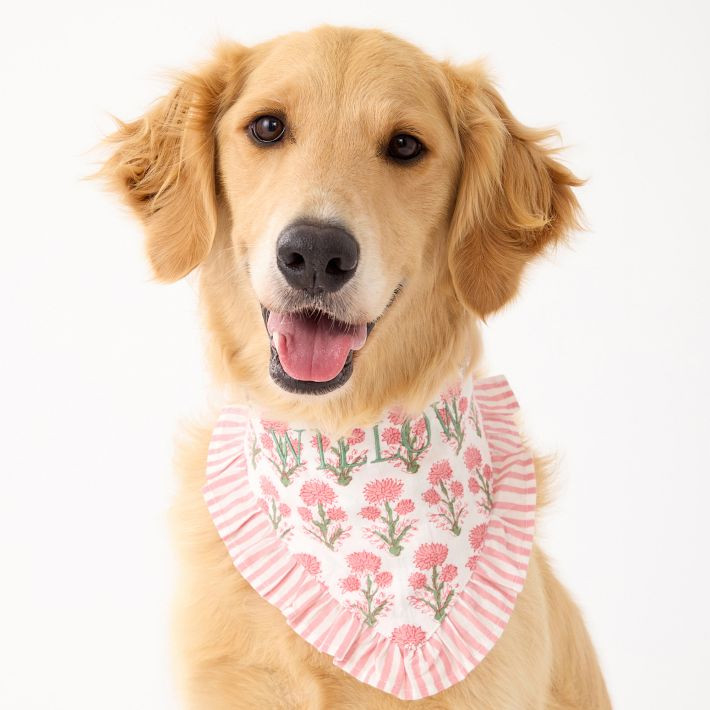 Ruffle Dog Bandana | Mark and Graham