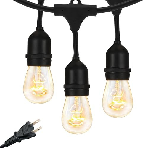 Brightech Ambience Pro Incandescent Outdoor String Lights - Commercial Grade Waterproof Patio Lights with 48 Ft Dimmable Edison Bulbs, Porch String Lights for Patio, Backyard - 15 Bulbs 11W | Amazon (US)