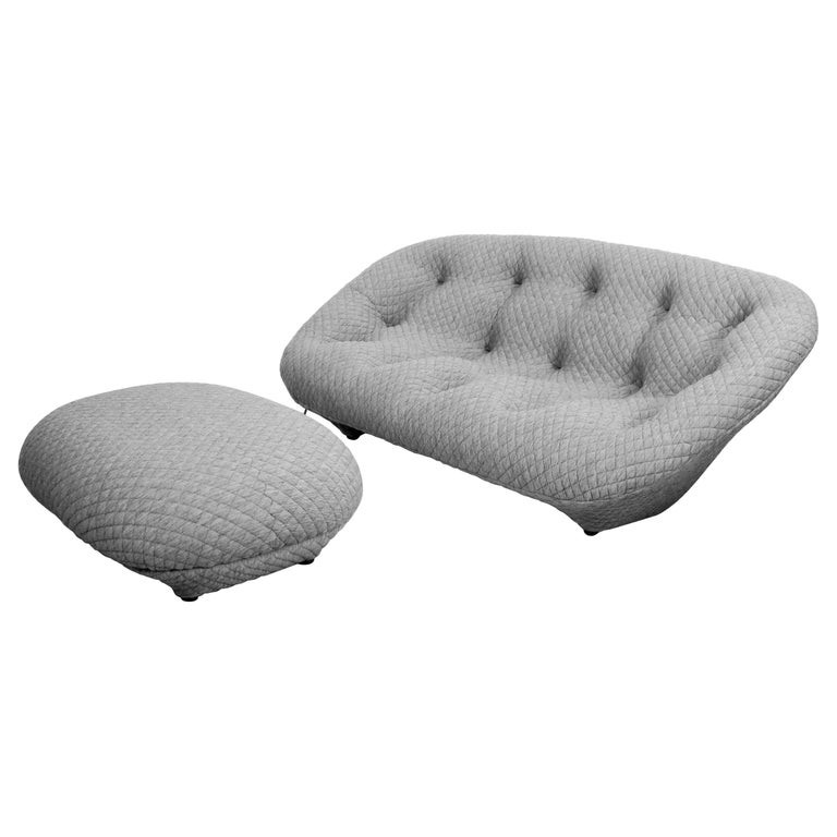 Ploum 3 seater Sofa and Ottoman by E. & R. Bouroullec for Ligne Roset | 1stDibs