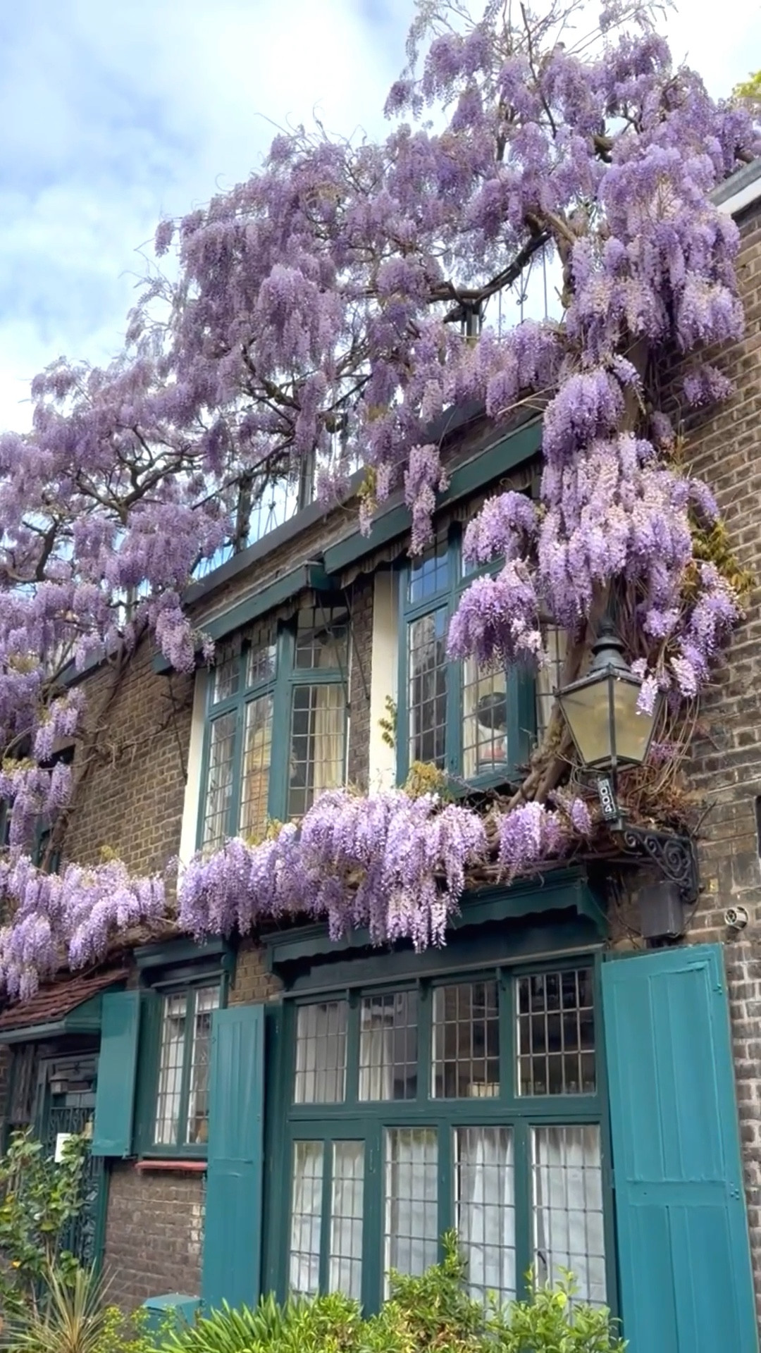 The wisteria in London 🇬🇧 is stunning in April. A great place to see it is the west end are of Kensington. 

#LTKOver40 #LTKTravel