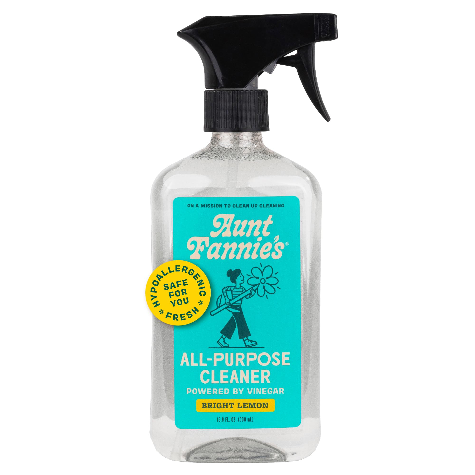 Aunt Fannie's All Purpose Household Cleaner, Multi-surface Spray, Powered by Vinegar for Kitchen,... | Amazon (US)