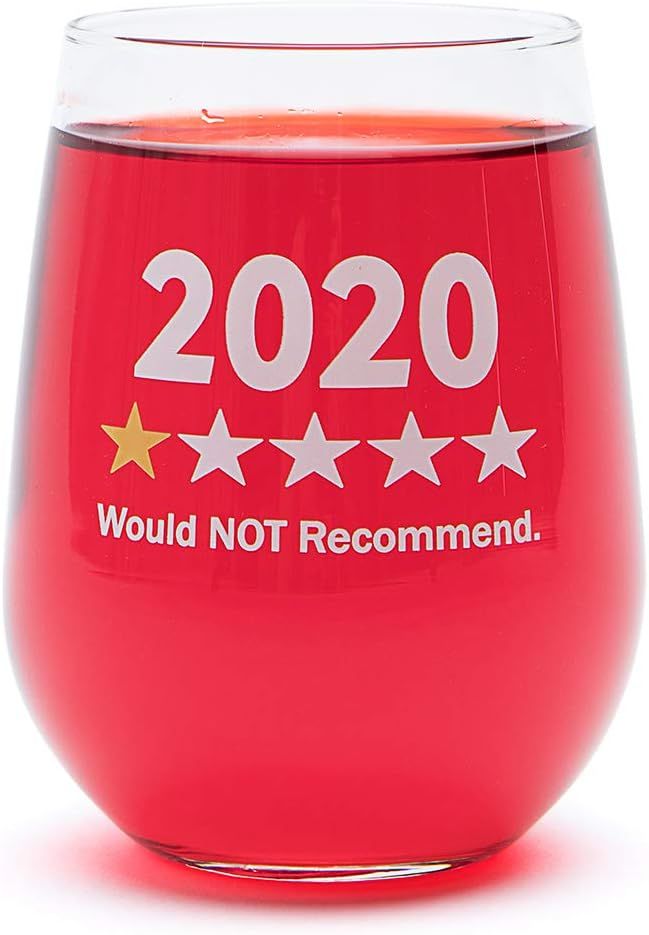 Funny Wine Glass Gift-"2020 One Star, Would NOT Recommend" - 17 Oz Stemless Wine Glass (2020-1 St... | Amazon (US)