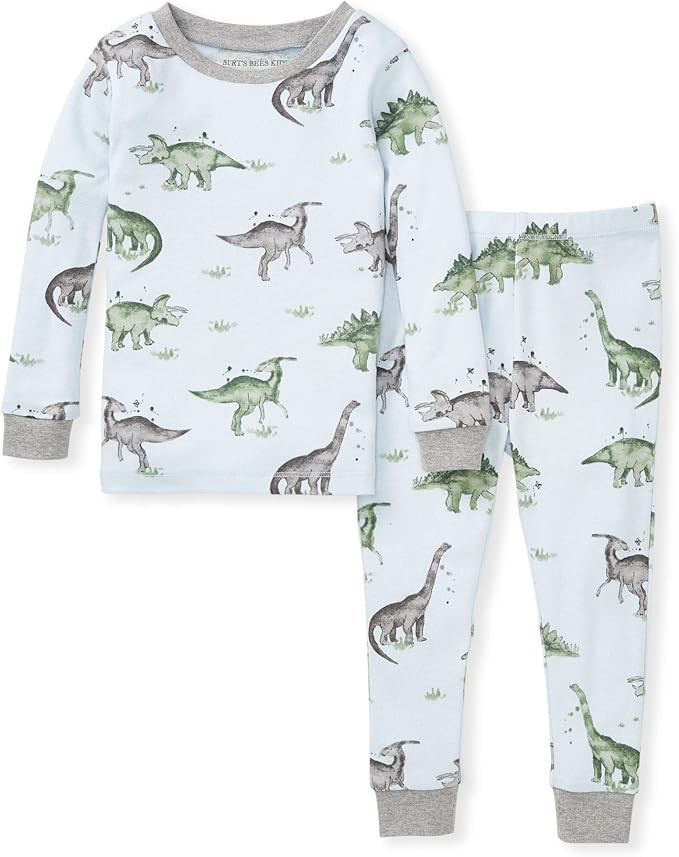 Burt's Bees Baby Baby Boys' Pajamas, Tee and Pant 2-Piece Pj Set, 100% Organic Cotton | Amazon (US)