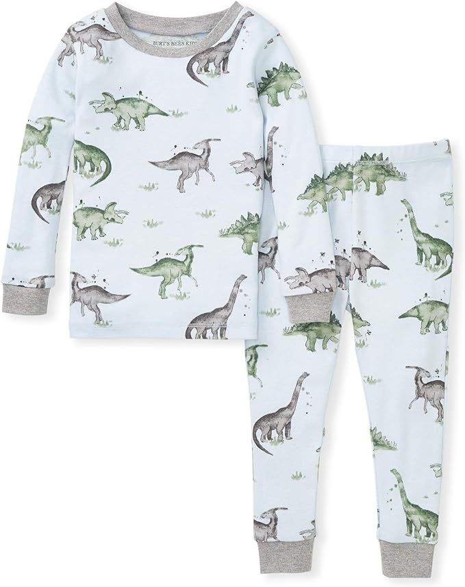 Burt's Bees Baby Baby Boys' Pajamas, Tee and Pant 2-Piece Pj Set, 100% Organic Cotton | Amazon (US)