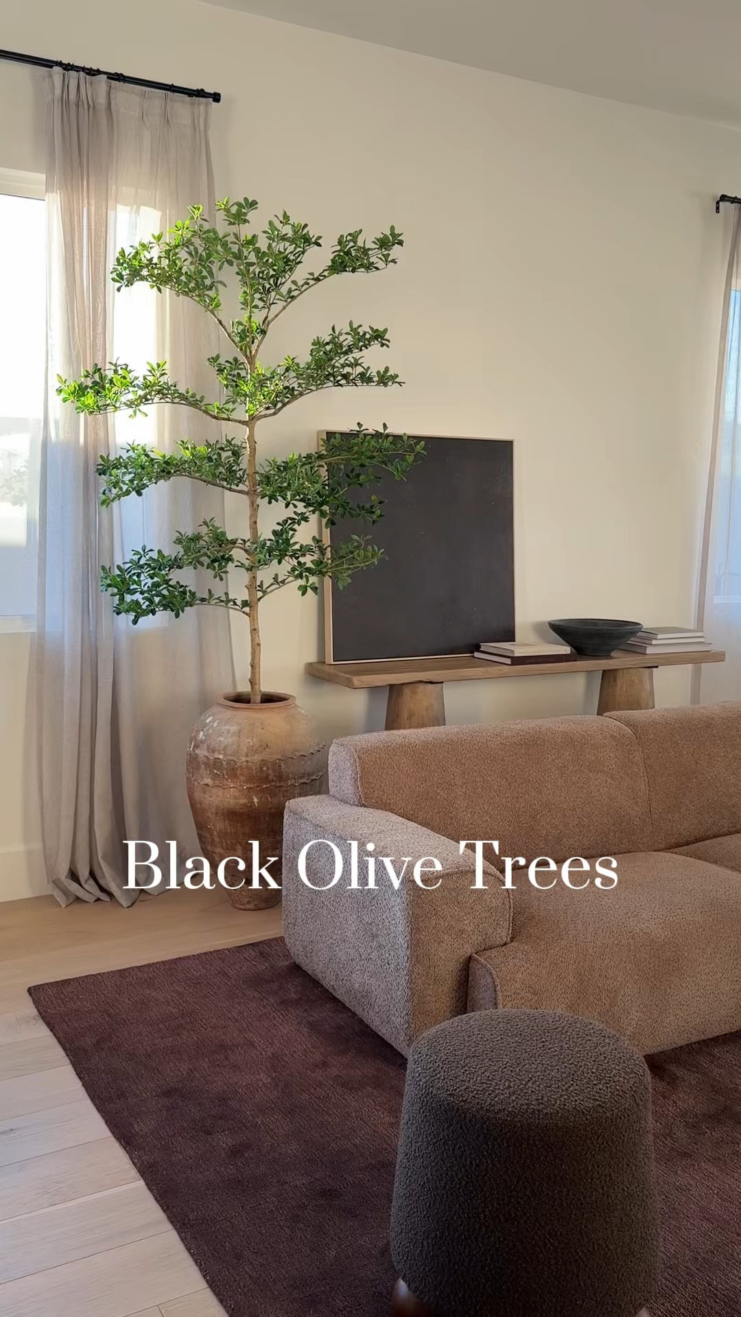 2025 trend: black olive trees. 

Everything in this room can be linked! 

All of mine are 7ft. The last one goes in and out of stock so keep checking 