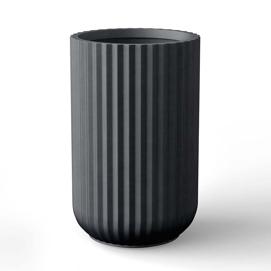 $79.95                      $79.95 | Amazon (US)