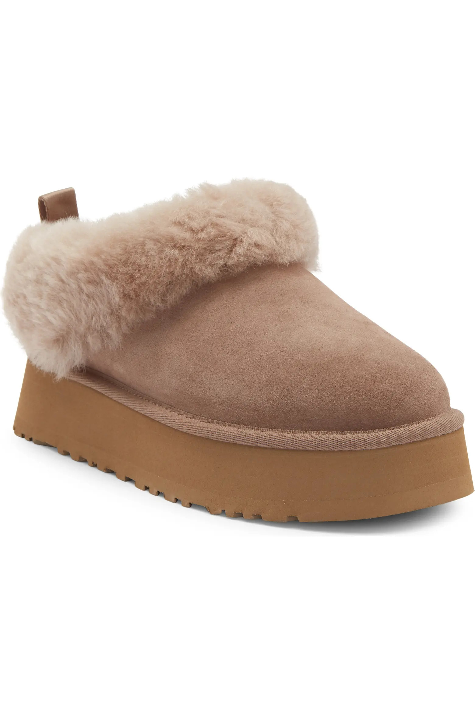 UGG® Tazzelle Genuine Shearling Collar Slipper (Women) | Nordstrom | Nordstrom