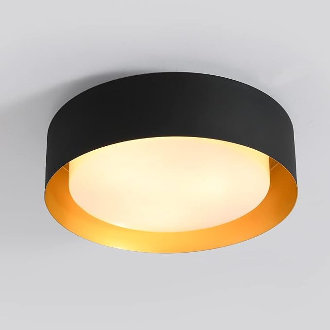 Vikaey Modern Flush Mount Ceiling Light, Minimalist Close to Ceiling Lighting Fixture, Acrylic Ce... | Amazon (US)