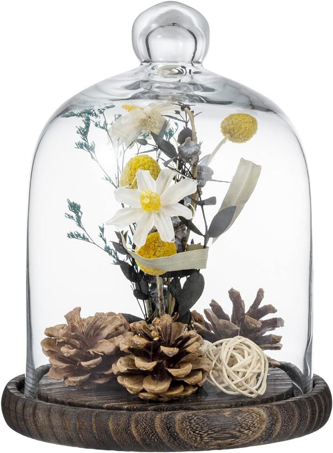 MyGift Clear Cloche Glass Dome, Display Bell Jar with Top Handle and Rustic Brown Solid Wood Base | Amazon (US)