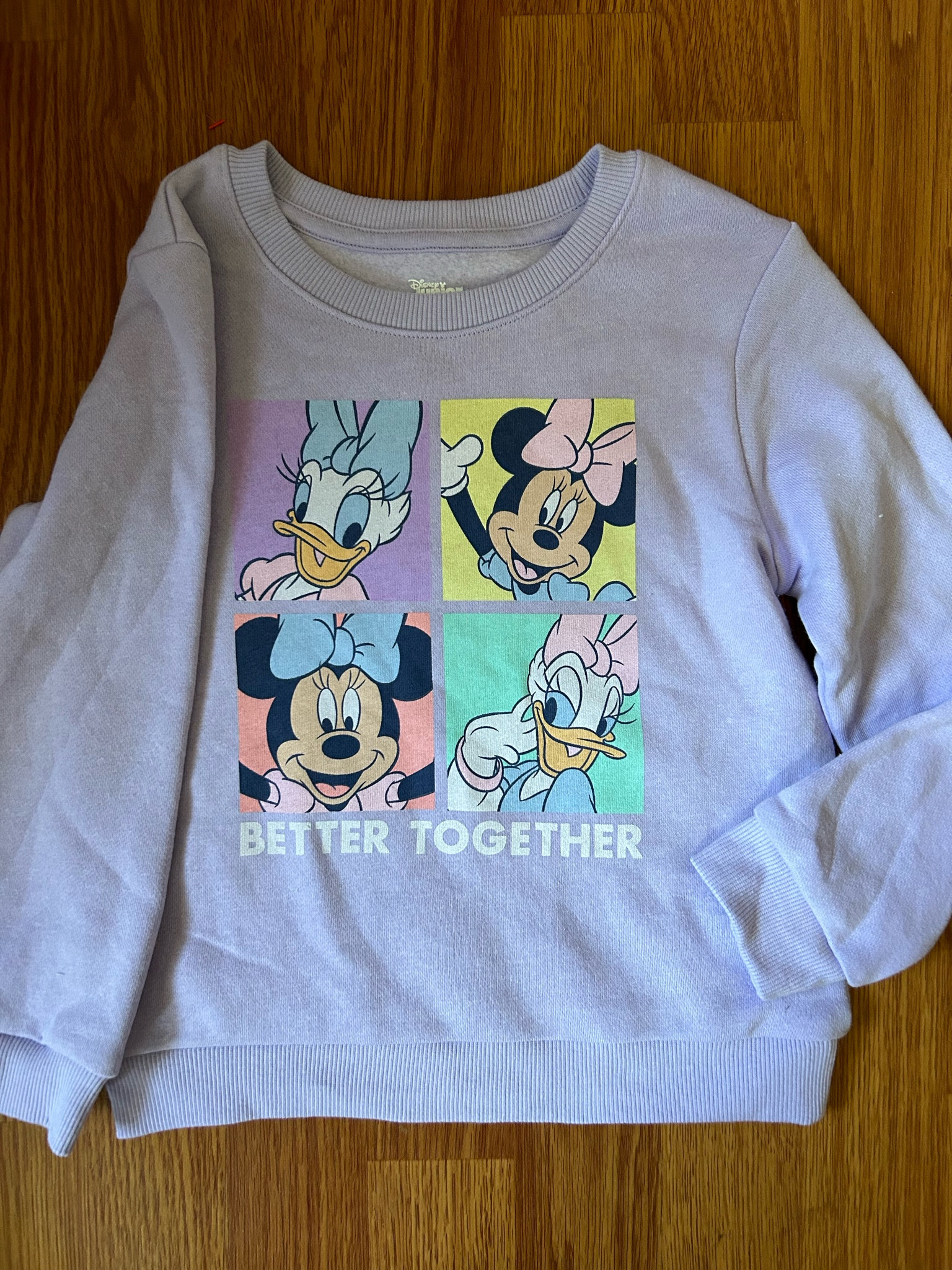 Minnie Mouse & Daisy Duck 
  ‘better together’ fleece sweater 
Size 5T

#LTKunder50 #LTKkids #LTKBacktoSchool