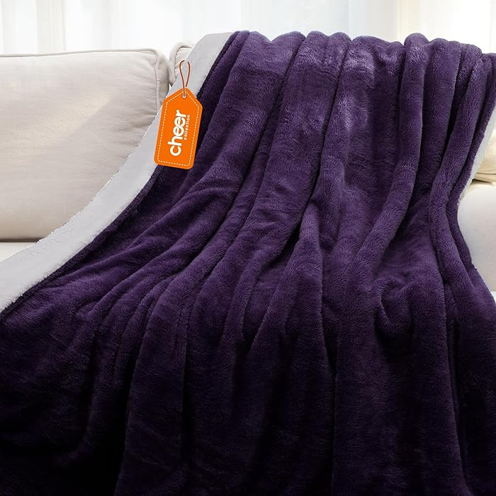 Cheer Collection Throw Blanket for Couch - Luxury Throw Blanket - Microsherpa Soft Blanket for Co... | Amazon (US)