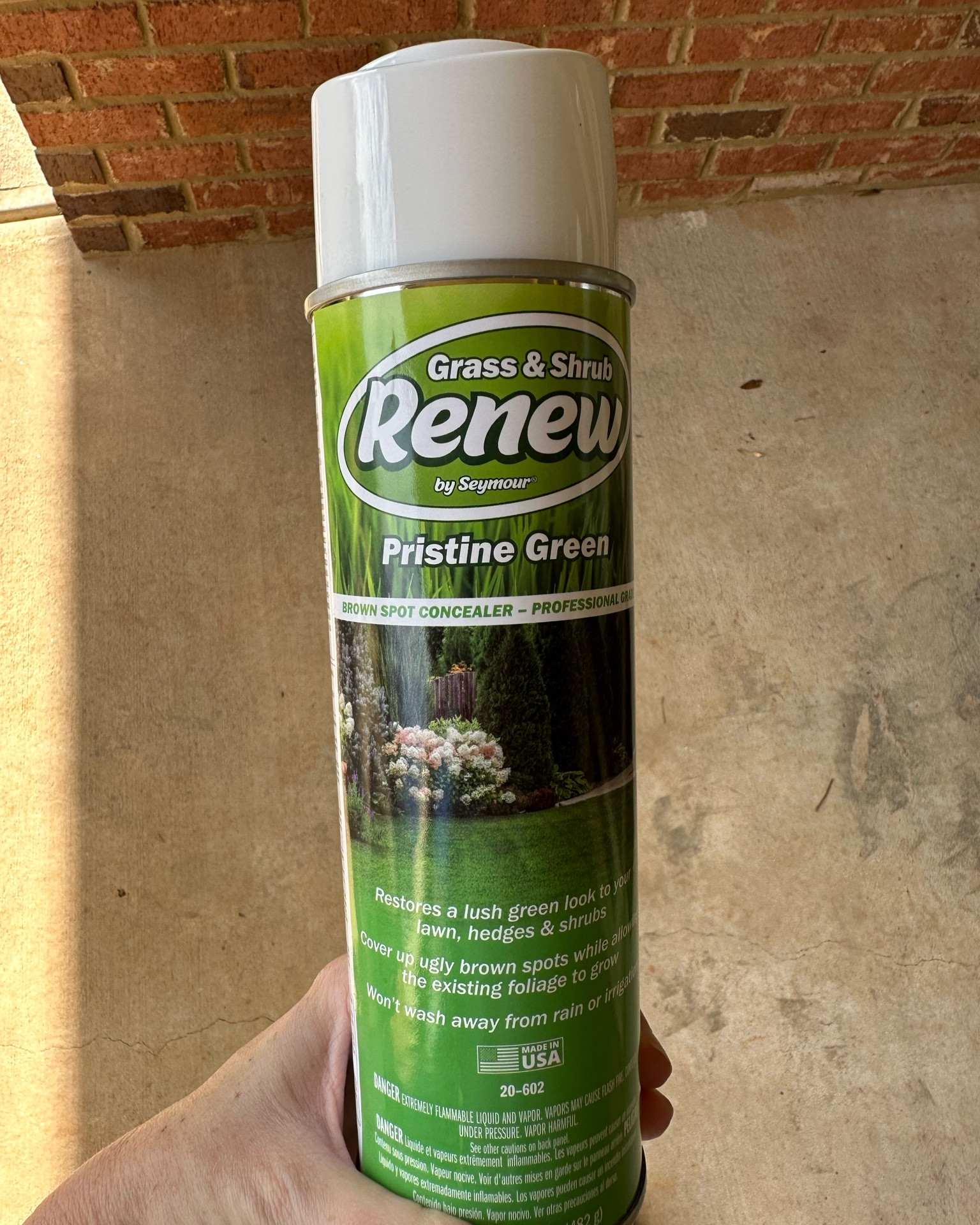 Use Renew yard spray on your evergreens this winter until you can plant new next spring. 
#yard #gardenfinds

#LTKhome