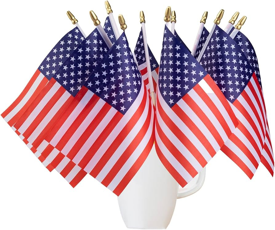 12 Pack Small American Flags on Stick 5x8 Inch/Mini American USA Flags/US Handheld Stick Flags Sp... | Amazon (US)