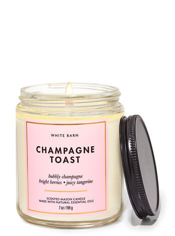 Champagne Toast


Mason Single Wick Candle | Bath & Body Works