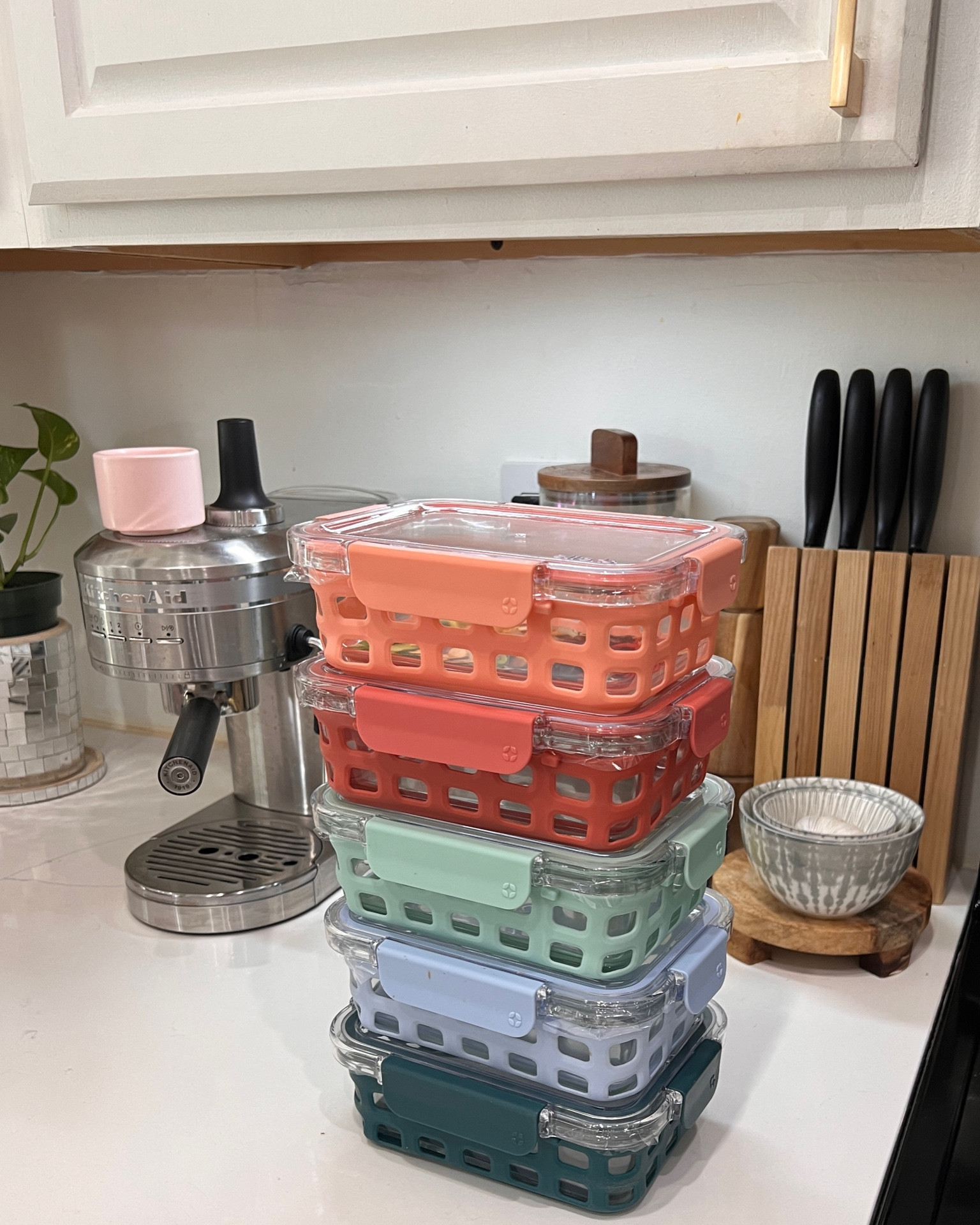 amazon food storage

#LTKhome #LTKfamily #LTKfindsunder50