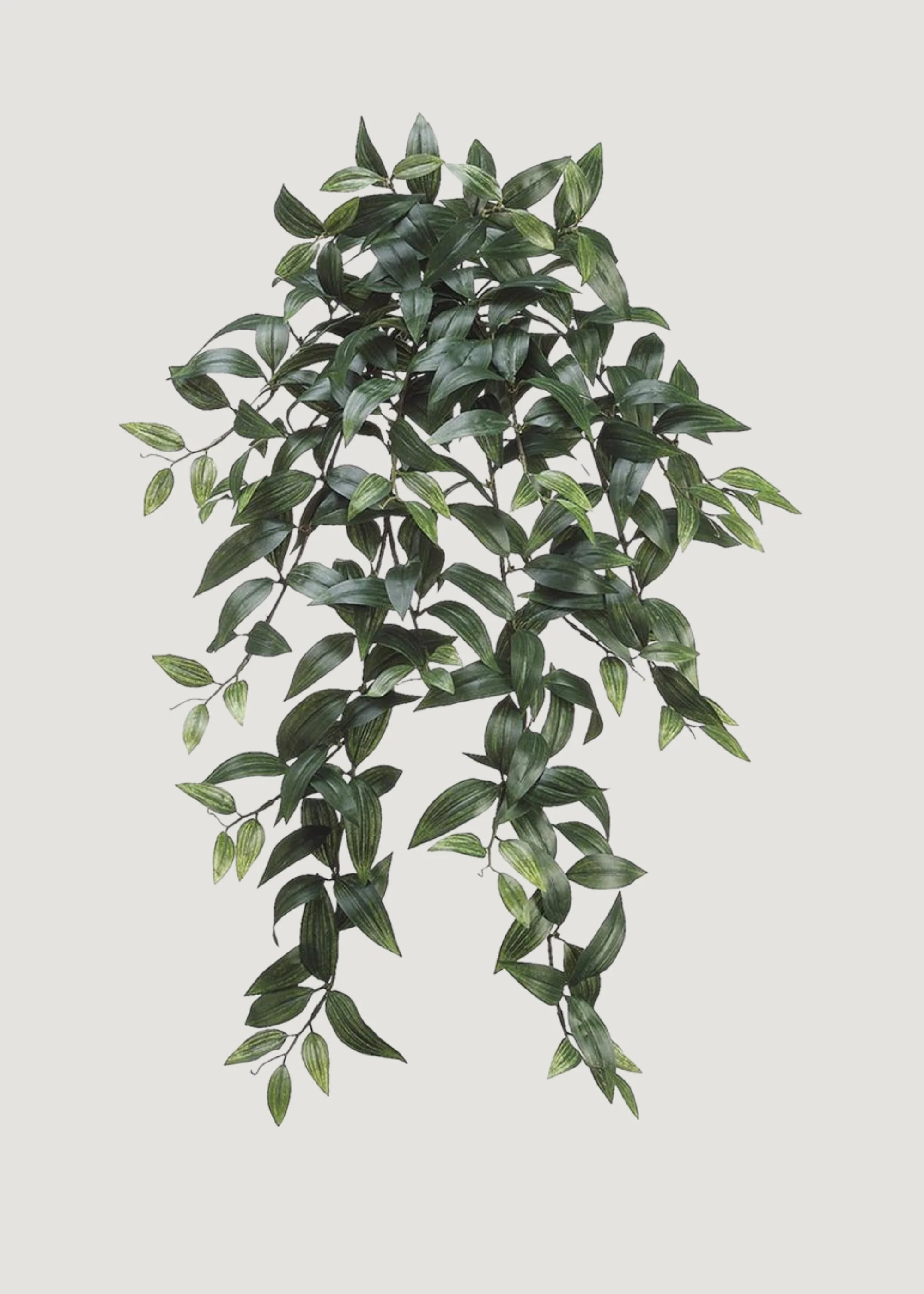 Fake Ruscus Hanging Plant | Shop Artificial Plants at Afloral | Afloral