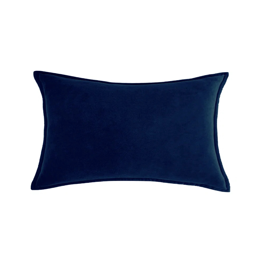 (Covers With Inserts) Set of 2 Rectangular Velvet Throw Pillows (Set of 2) | Wayfair North America