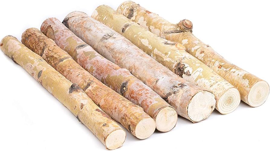 Kingcraft 6 Pack Small Birch Logs for Fireplace Unfinished Wood Crafts DIY Home Decorative Burnin... | Amazon (US)