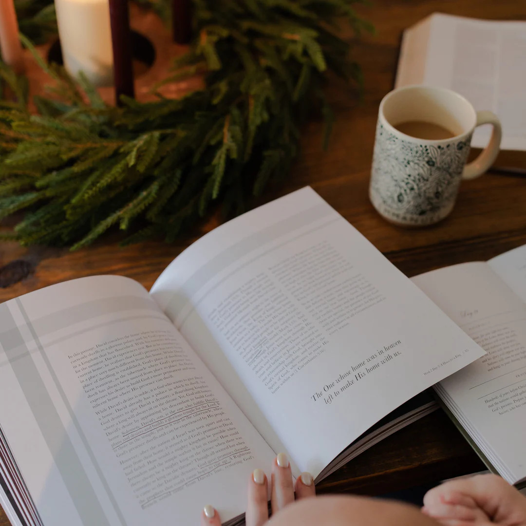 Awakening Wonder | Advent Bible Study | The Daily Grace Co.