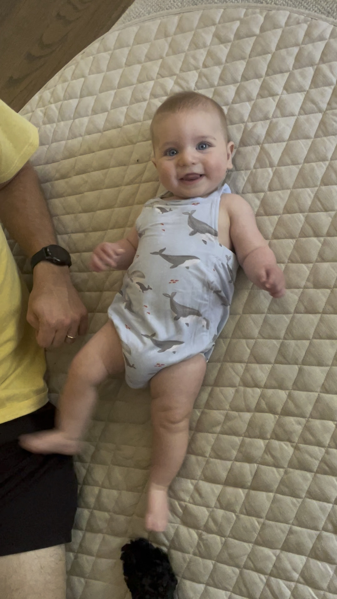 Our favorite play mat!! Cushioned and not an eye sore in our living room 

#LTKBaby #LTKFamily #LTKBump