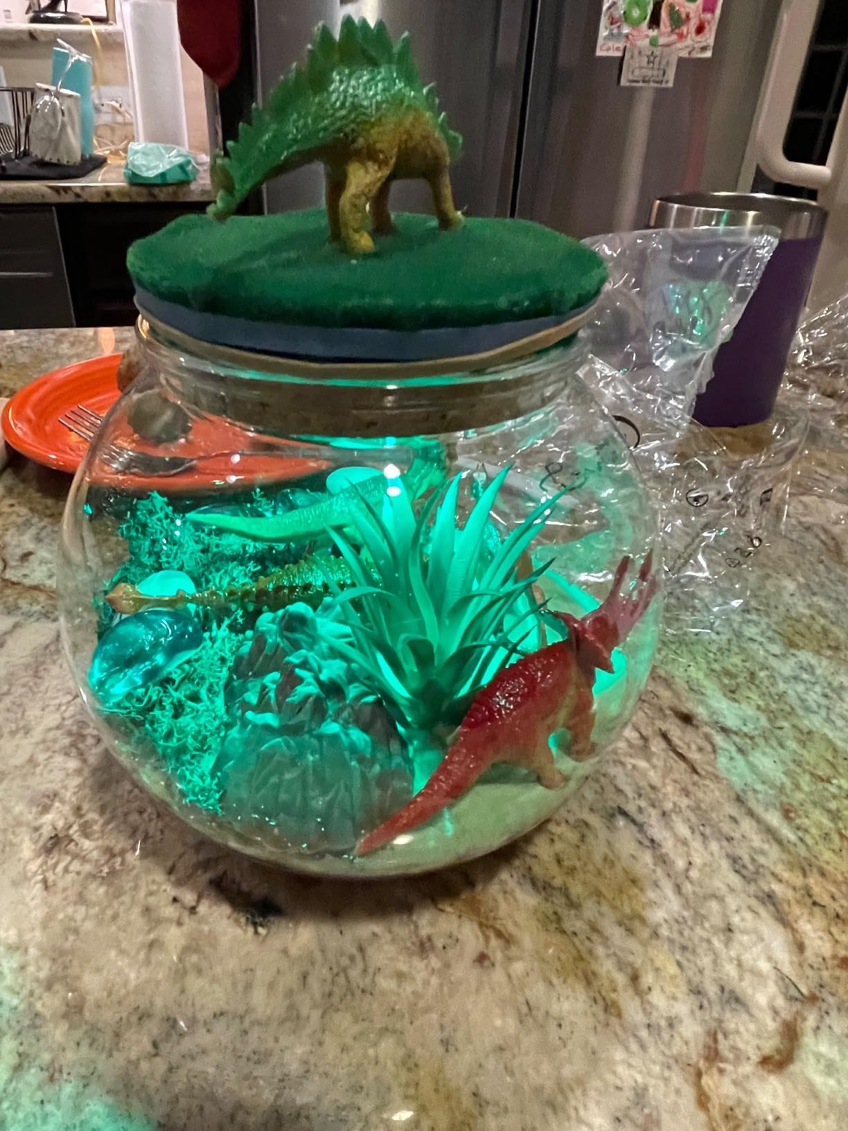 Dinosaur Gifts for Boys - Dinosaur Terrarium Kit for Kids - Birthday Gift for Boys Ages 4 5 6 7 8... | Amazon (US)