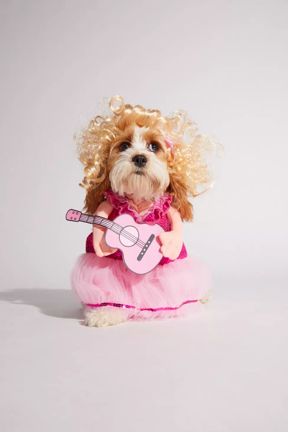 Doggy Parton Concert Pet Costume | Urban Outfitters (US and RoW)