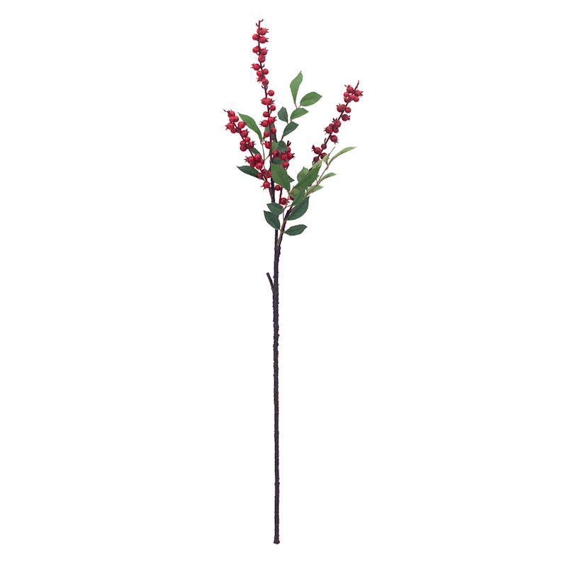 Red Cranberry Stem, 30" | At Home
