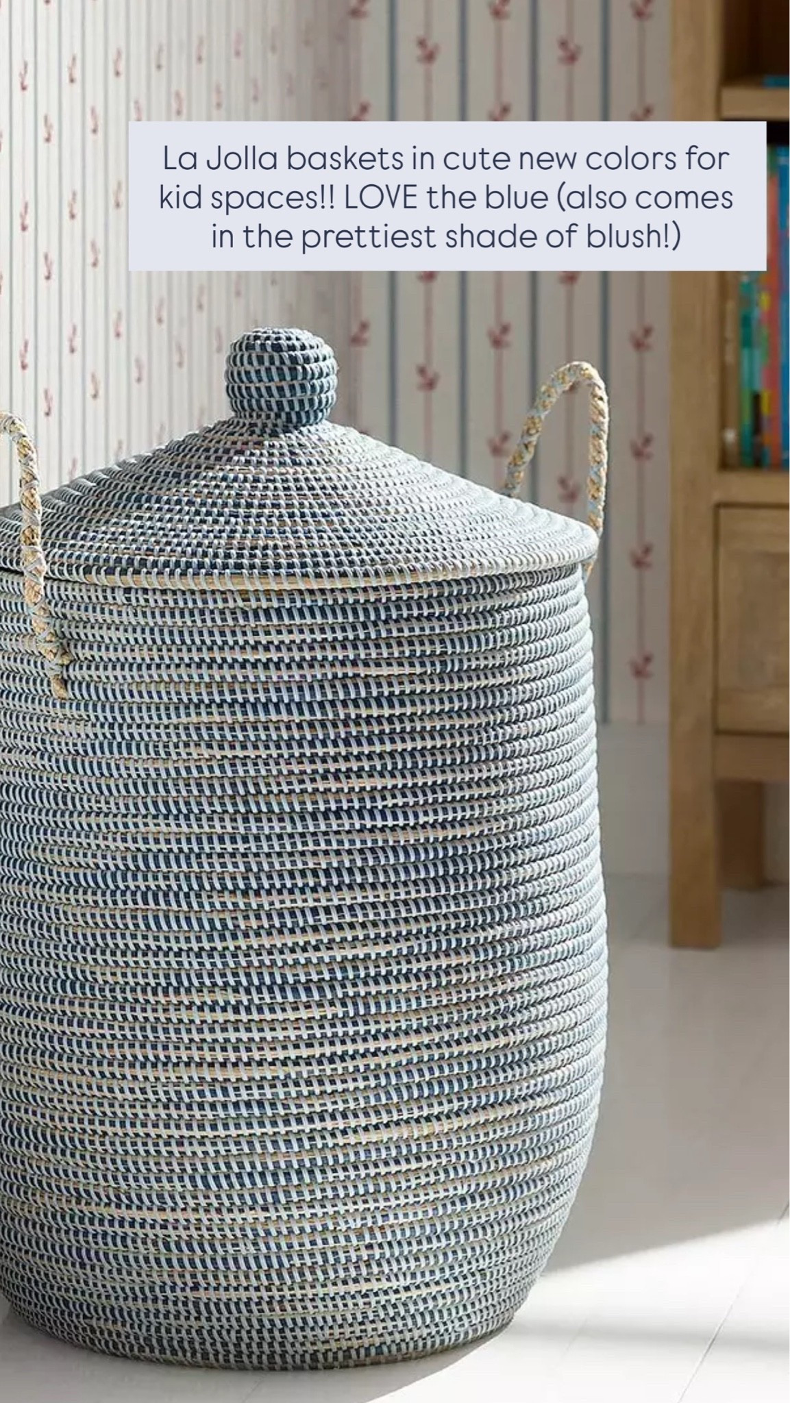 La Jolla baskets in all new colors for kid spaces and they’re on sale!! So perfect for toy storage in a playroom, bedroom or really anywhere 🩶

#LTKSaleAlert #LTKHome #LTKKids