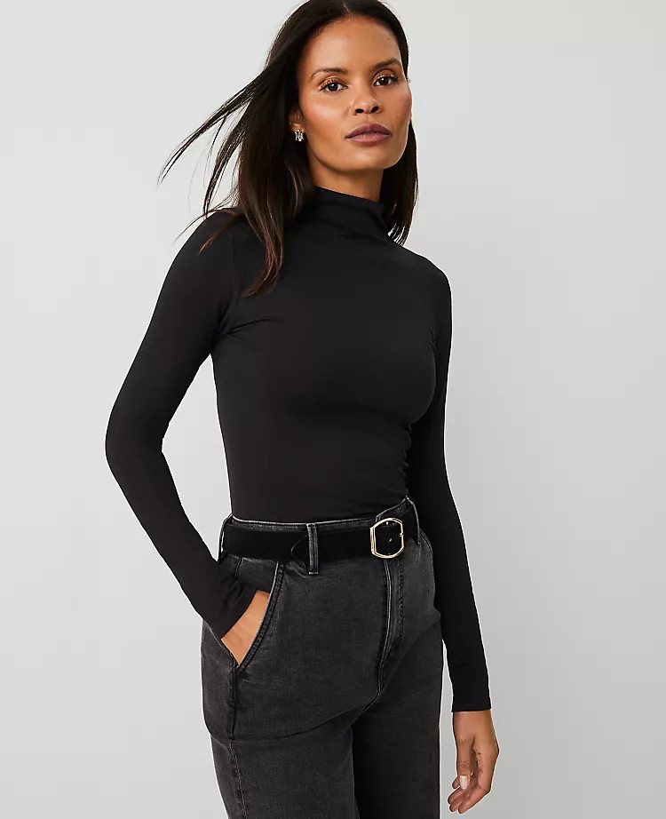 Long-Sleeve Turtleneck Top | Ann Taylor (US)