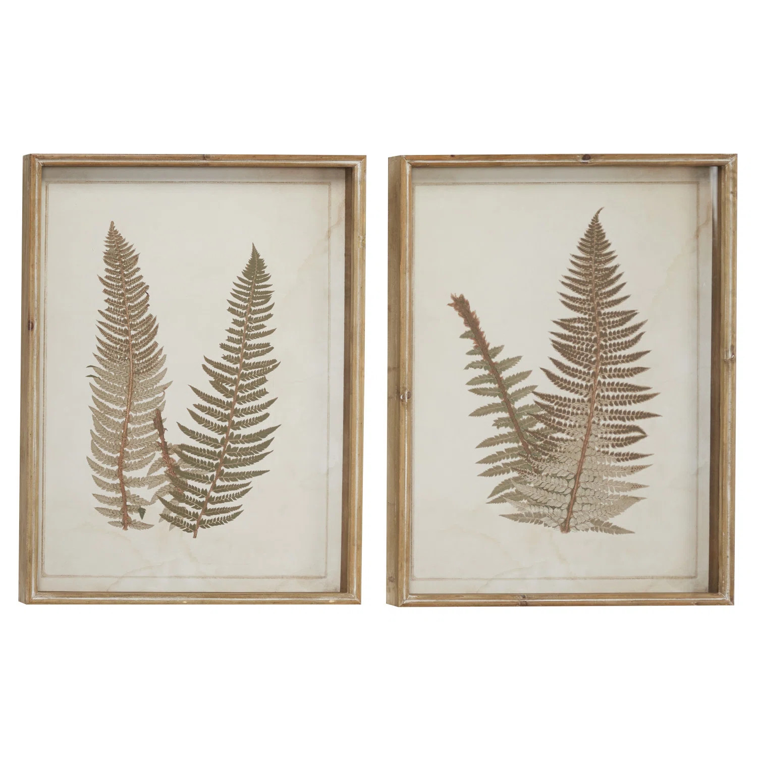 Large Vintage Fern Illustrations - 2 Piece Picture Frame Graphic Art Set on Wood | Wayfair Professional