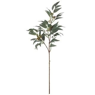 Dark Green Eucalyptus Leaf & Seeds Stem by Ashland® | Michaels Stores