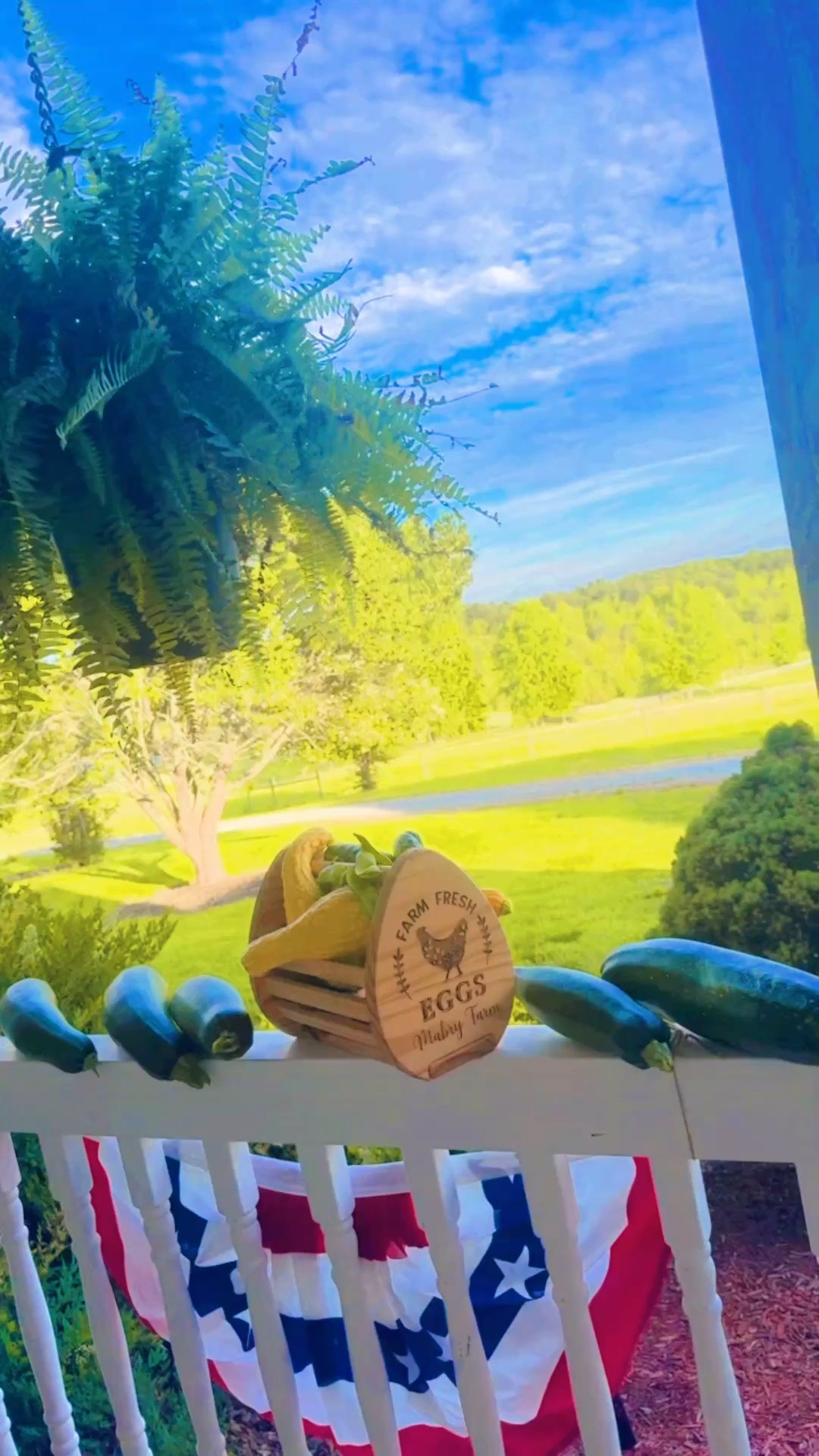 We are all just giddy 🥰 with how much our big happy garden 🪏 is producing already… what a gift ✨ this special land is!!! 🫶🏽 #wheregoodthingsgrow