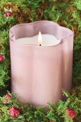 Maeve Woody Salted Woods & Rose Glass Candle | Anthropologie (US)