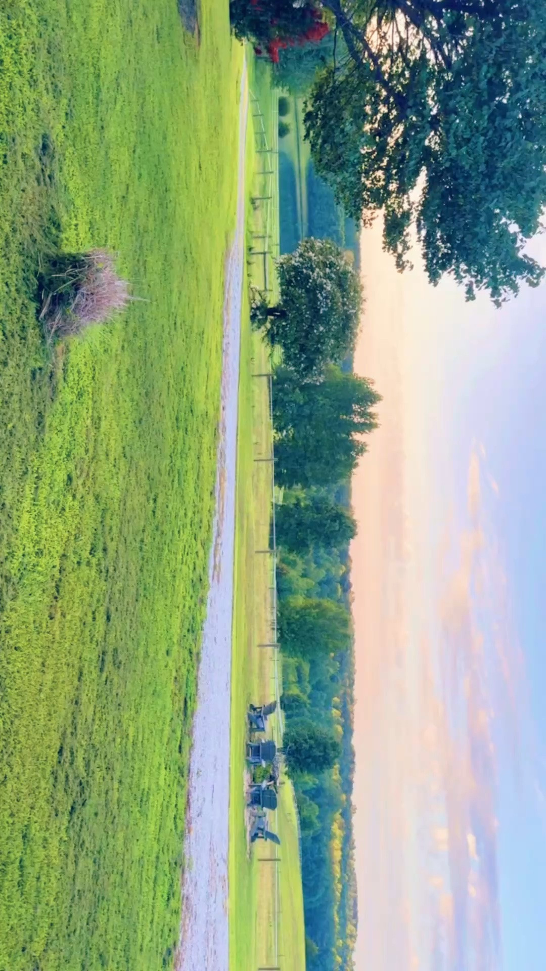 Started this Friday mornin’ off with the most beautiful run 🏃‍♀️ - and got to say hi 👋🏼 to the cutest deer 🦌 friend, too!! 🫶🏽✨