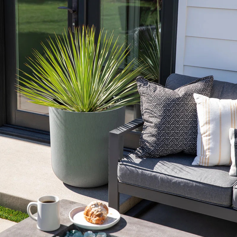 Pure Series Kona Plastic Pot Planter | Wayfair North America