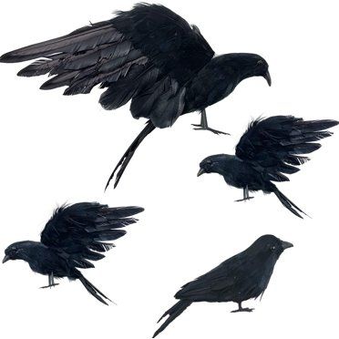 Toyfunny 6PC Artificial Realistic Woodland Black Birds for Garden Home Halloween Decor - Walmart.... | Walmart (US)