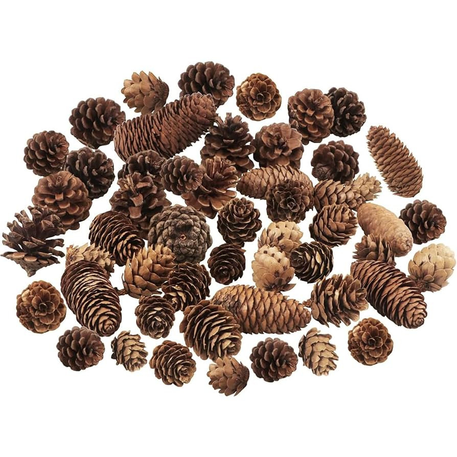 TaoQ C Pack of 40 Pine Cones Decorations, Natural Pine Cones Bulk Package for Large Medium and Mi... | Amazon (DE)