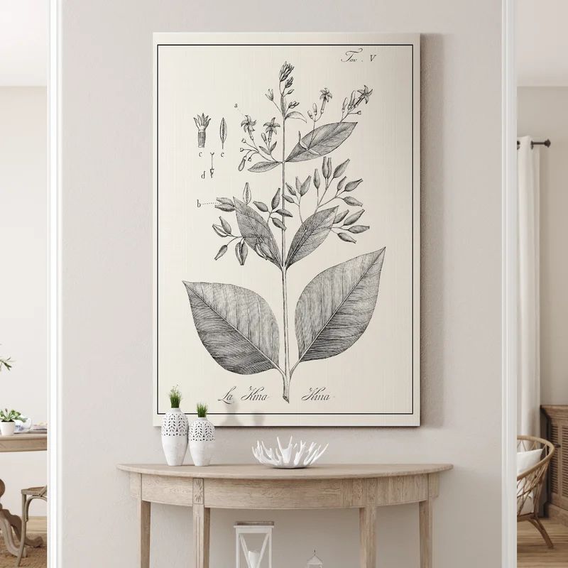 Antique Black & White Botanical - Wrapped Canvas Painting | Wayfair North America