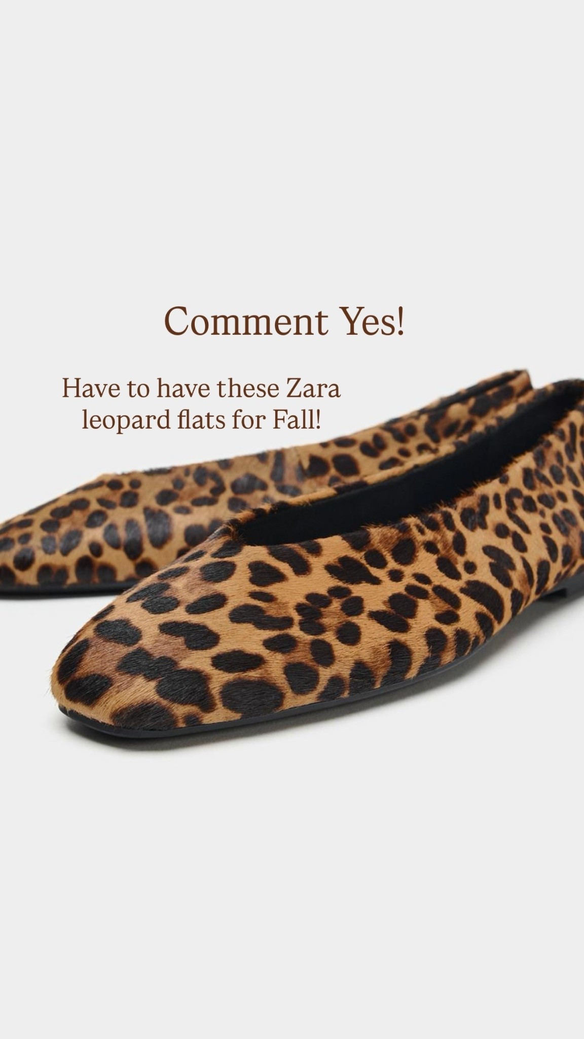 Comment Yes!  Have to have these Zara leopard flats for Fall!