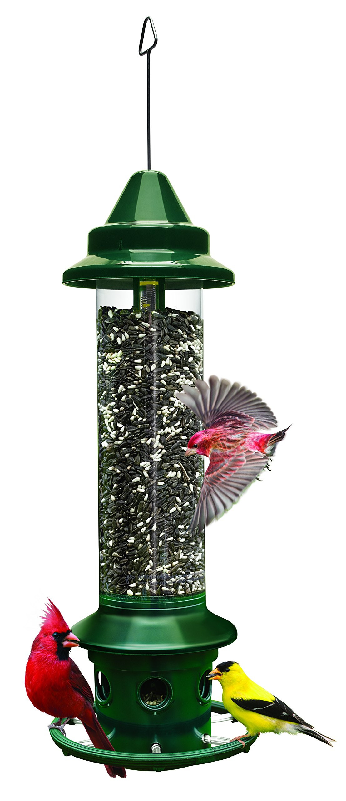 Squirrel Buster Plus Squirrel-proof Bird Feeder w/Cardinal Ring and 6 Feeding Ports, 5.1-pound Se... | Amazon (US)