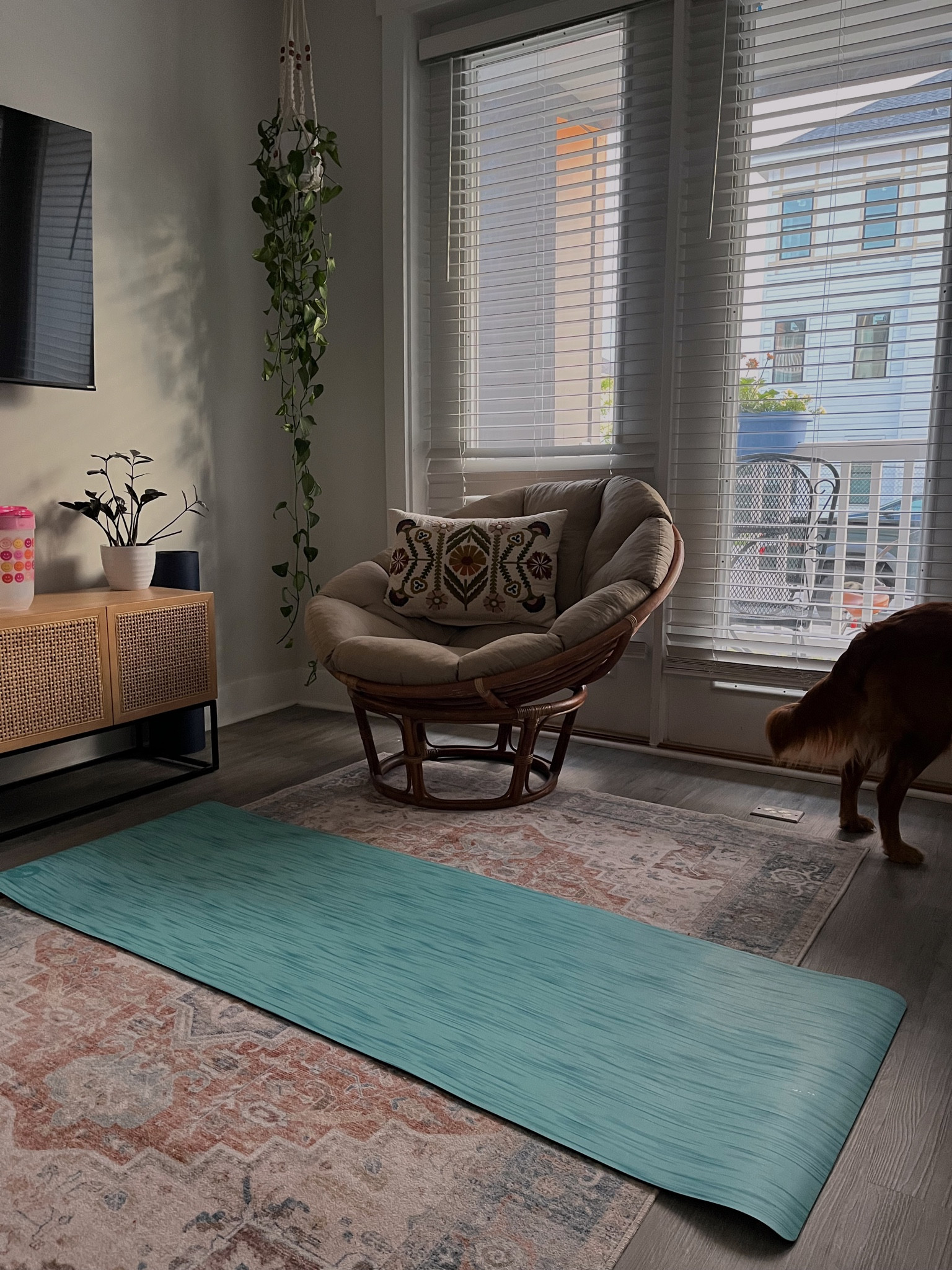 The best yoga mat!! And also my rug, the chair, pillow, and plant hanger! :)) 

#LTKunder50 #LTKunder100 #LTKFind