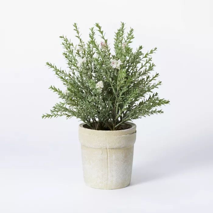 Flowering Thyme Potted - Threshold&#8482; designed with Studio McGee | Target