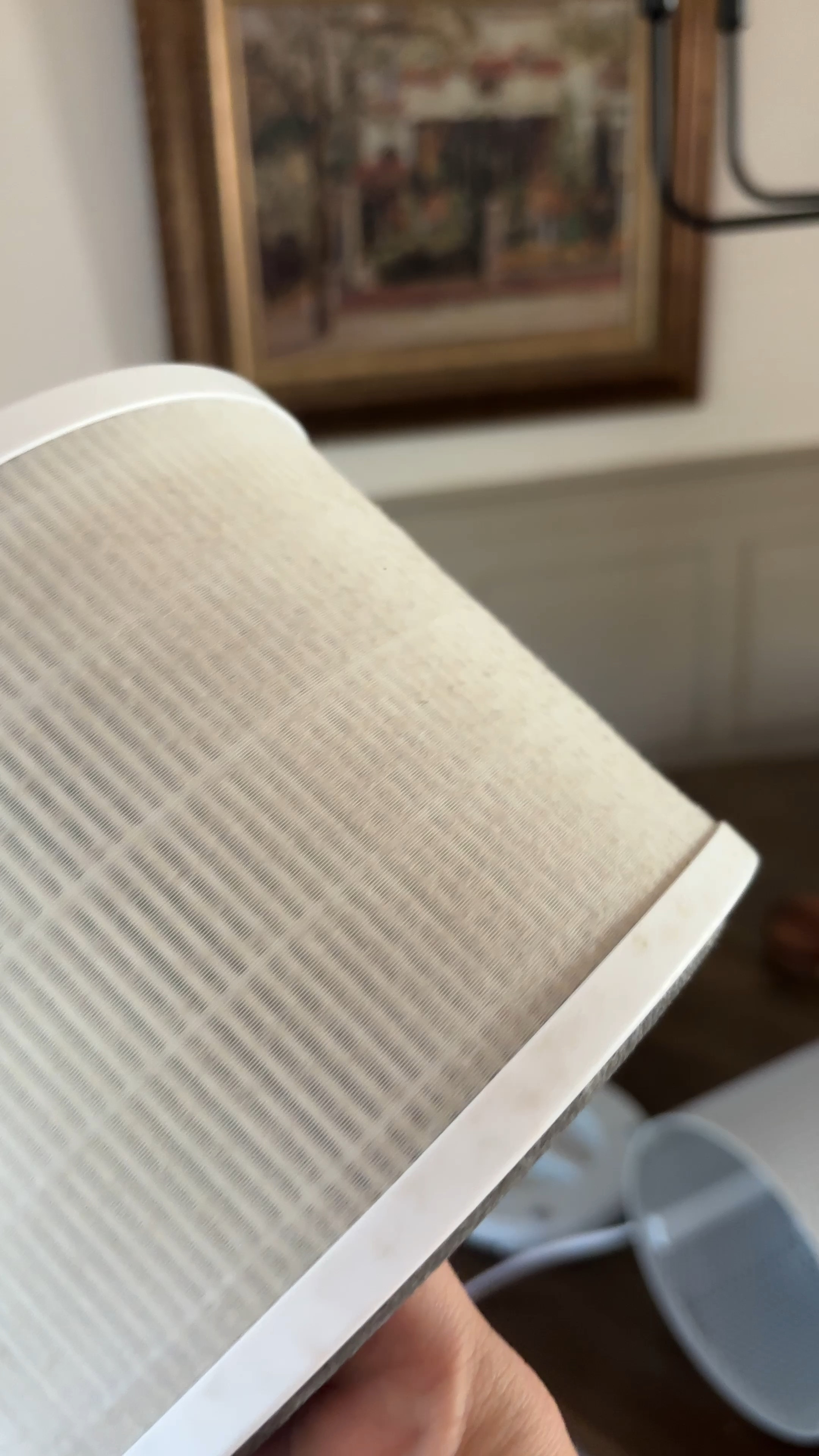 Time to clean the air purifier 🤢 I keep this by the bed and it’s actually so gross how much it accumulates in a week. Definitely a cleaning must have  


#LTKHome #LTKVideo